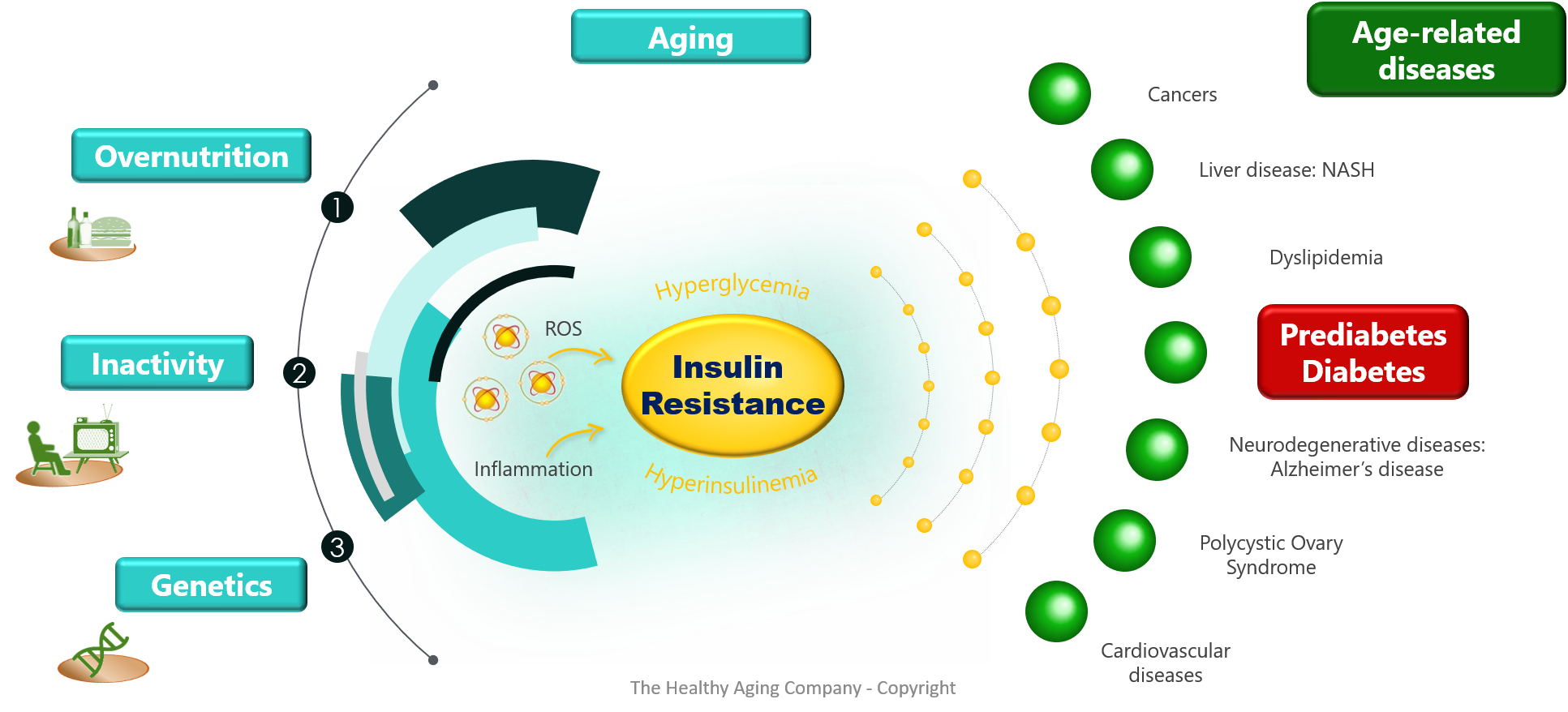 how-to-improve-insulin-resistance-with-diet-effective-diet-diet-tips